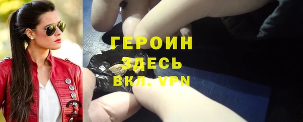 PSILOCYBIN Алзамай