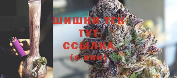 PSILOCYBIN Алзамай