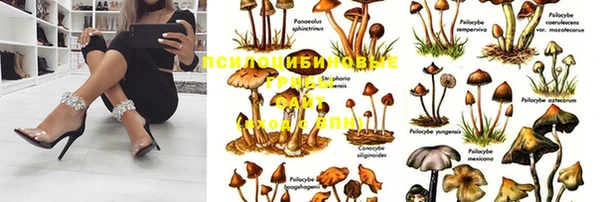 не бодяженный Алексин