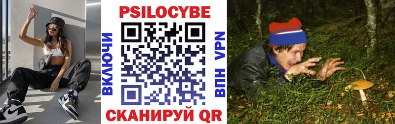 блэк спрут ссылка Талдом Псилоцибиновые грибы Cubensis